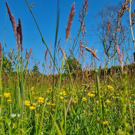 Holiday home Bos En Wei Xl