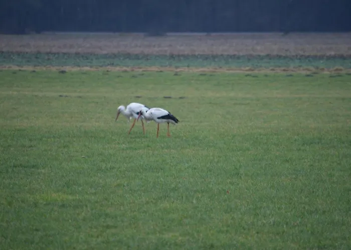 Bos En Wei Xl 펜션