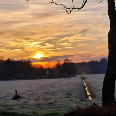 Bos En Wei Xl Holiday home Hall