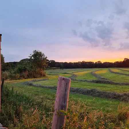 Holiday home Bos En Wei Xl *