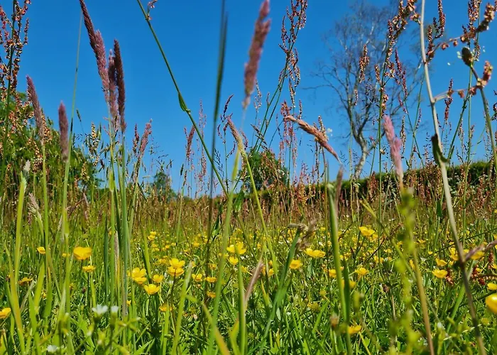 Holiday home Bos En Wei Xl